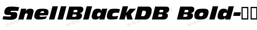 SnellBlackDB Bold字体转换